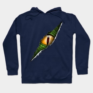 dino eye scratch Hoodie